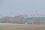 Blisgæs i luften over markerne ved Rotenkirchen